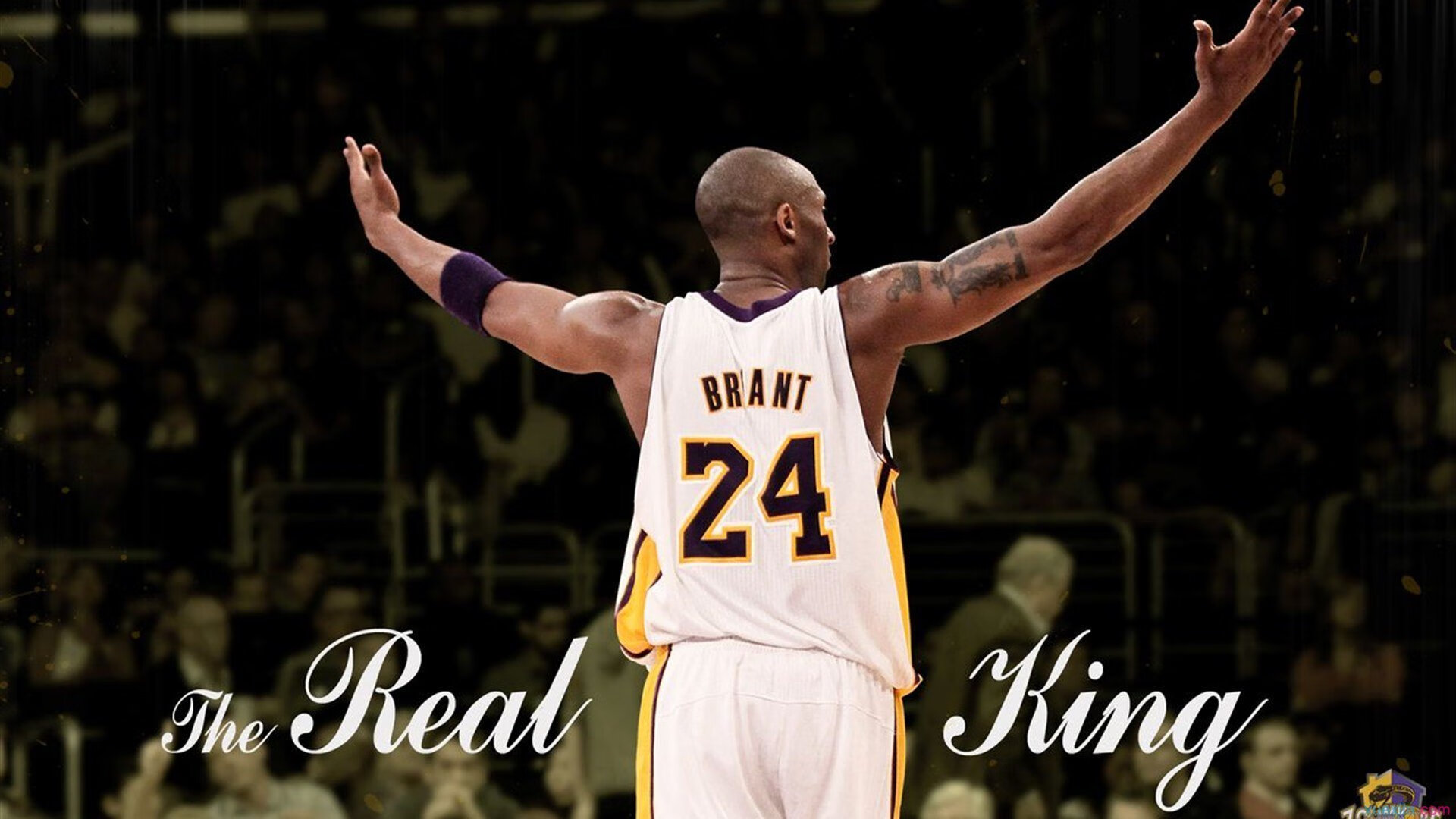 狂砍45分16篮板！武切维奇打出生涯之夜，率老鹰复仇骑士